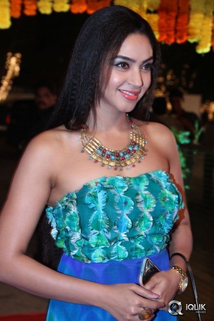 Srimanthudu-Movie-Thank-You-Function